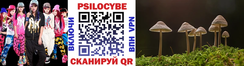 Псилоцибиновые грибы MAGIC MUSHROOMS  купить закладку  Анива 